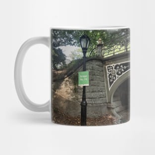 Central Park Street Lamp Bridge NYC Mug